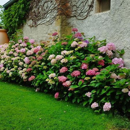 Anzy-le-Duc Le Charbonnet B&B 외부 사진