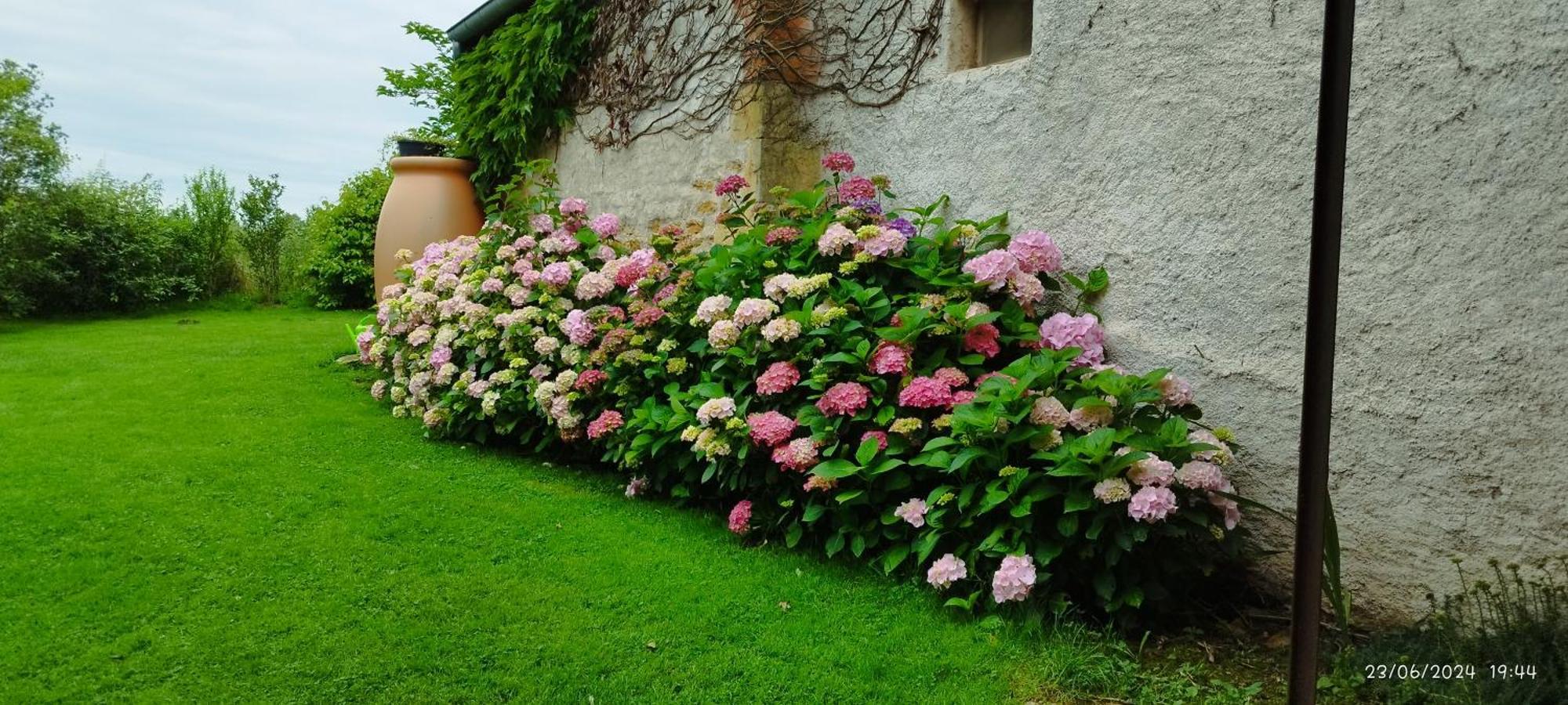 Anzy-le-Duc Le Charbonnet B&B 외부 사진